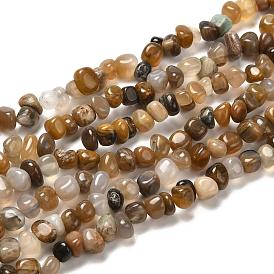 Natural Petrified Wood Beads Strands, Tumbled Stone, Nuggets