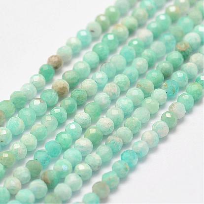 Natural Amazonite Bead Strands, Faceted, Round