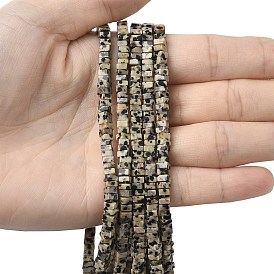 Природные яшмы далматин бисер нитей, квадратный