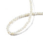 Natural White Shell Beads Strands, Round