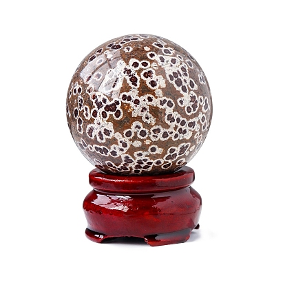 Décorations d'affichage de boule de cristal en pierre d'œufs de poisson naturel, sphère de pierre d'énergie reiki, avec une base de bois, ornements feng shui