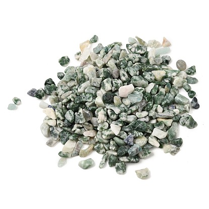 Natural Green Spot Jasper Chip Beads, No Hole/Undrilled