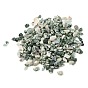 Natural Green Spot Jasper Chip Beads, No Hole/Undrilled