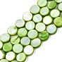 Freshwater Shell Beads Strands, Dyed, Flat Round