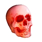 DIY Portrait Sculpture Candle Making Silicone Statue Molds, Halloween Theme, 3D Skull