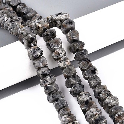 Нити из натуральных сиенитовых бусин, самородки, граненые