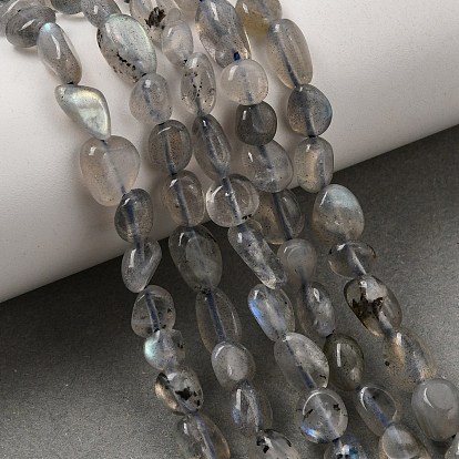 Natural Labradorite Nuggets Beads Strands, Tumbled Stone, 5~10x6~7x3~7mm, hole: 1mm, about 14.9 inch ~15.7 inch