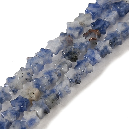 Natural Blue Spot Jasper Beads Strands, Star