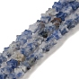 Natural Blue Spot Jasper Beads Strands, Star