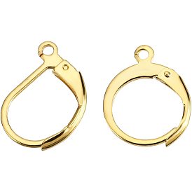 100Pcs 2 Styles 304 Stainless Steel Leverback Earring Findings, Ring with Loop, for DIY Earring Making Kits