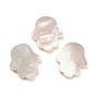 Cabochons de coquillages naturels, Hamsa main