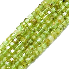 Natural Peridot Beads Strands, Faceted, Cube
