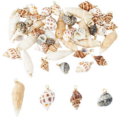 48шт 4 стили натуральные подвески из смешанных ракушек, подвески в форме ракушки с петлями из светло-золотой медной проволоки