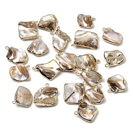 Природные подвески оболочки пресноводных, подвески-самородки с латунным краем