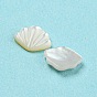 Cabochons de coquillages naturels, forme coquille