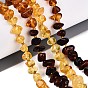 Gradient Color Natural Amber Beads Strands, Chip, with Seed Beads