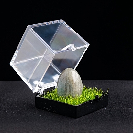 Натуральный драгоценный камень, целебное яйцо, коробка для образцов минералов, Необработанный камень Рейки для балансировки энергии, медитационной терапии