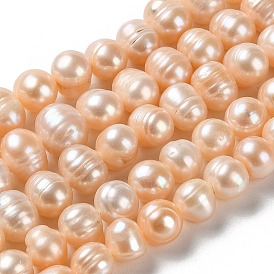 Natural Cultured Freshwater Pearl Beads Strands, Potato, Grade A+