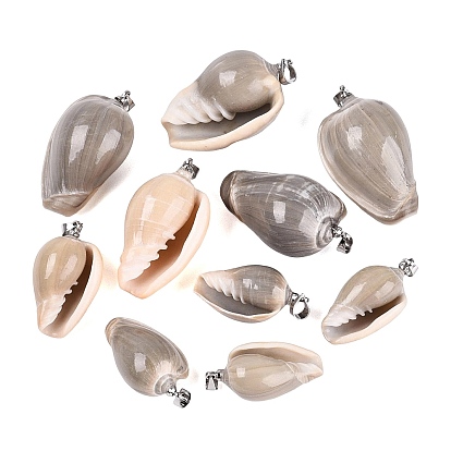 Brass & Natural Oliva Shell Pendants, Conch Charms