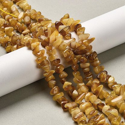 Янтарные шарики нити, чип