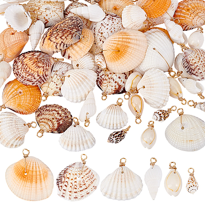 60шт 6 стили натуральные подвески из смешанных ракушек, Подвески в форме ракушки с петлями из медной проволоки, смешанные окрашенные и неокрашенные, золотой свет