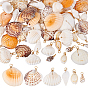 60шт 6 стили натуральные подвески из смешанных ракушек, Подвески в форме ракушки с петлями из медной проволоки, смешанные окрашенные и неокрашенные, золотой свет