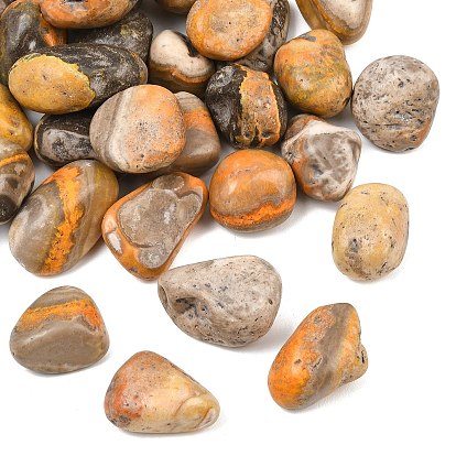 Perles de jaspe bourdon naturel, pierre tombée, nuggets, pas de trous / non percés, Pierres précieuses pour remplir les vases/non percées, gemmes de remplissage de vase