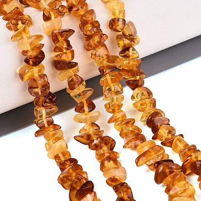 Natural Amber Beads Strands, Chip