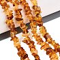 Natural Amber Beads Strands, Chip