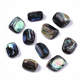 Natural Abalone Shell/Paua Shell Beads, Nuggets