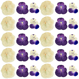 HOBBIESAY 90Pcs 3 Style Dried Pansy Flower, Craft Material