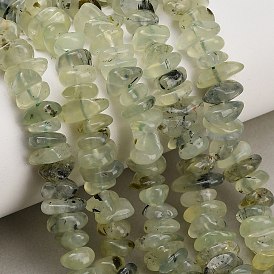 Natural Prehnite Beads Strands, Chip