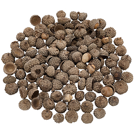 200шт. деревянных желудей для декоративных украшений, для украшения рабочего стола домашнего офиса