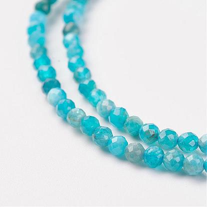 Natural Apatite Bead Strand, Round, Faceted