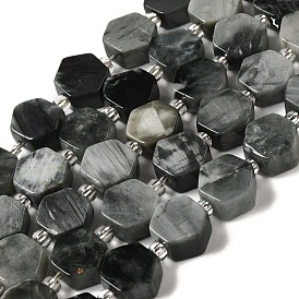 Natural Eagle Eye Stone Beads Strands, Hexagon, with Seed Beads