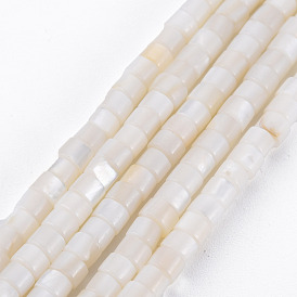 Cuentas de concha de perla natural hebras, columna