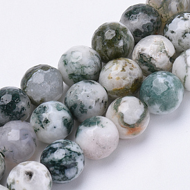 Natural Tree Agate Beads Strands, Faceted, Round