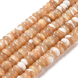 Natural Trochus Shell Beads Strands, Rondelle