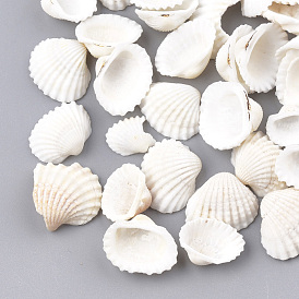 Spiral Shell Beads, No Hole/Undrilled, Shell