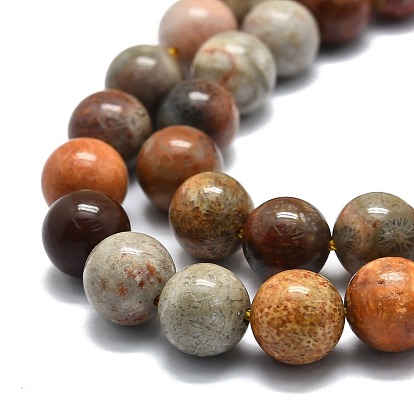 Natural Fossil Coral Beads Strands, Round