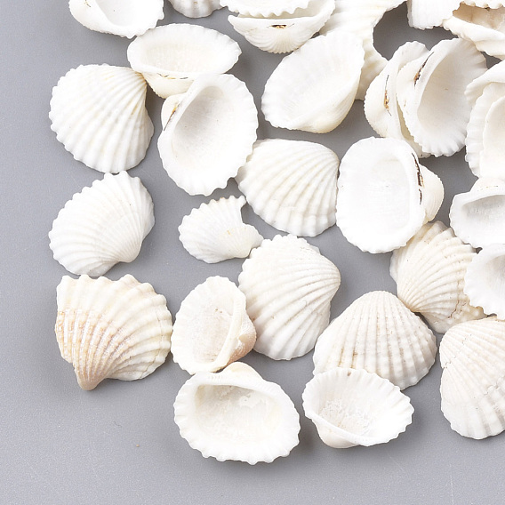 Spiral Shell Beads, No Hole/Undrilled, Shell