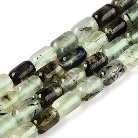 Natural Prehnite Beads Strands, Column