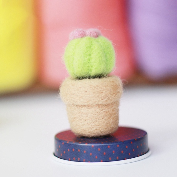 Kit de feutrage à l'aiguille cactus, y compris les instructions, 1 mousse pc, 3 aiguilles PC, 4 couleurs laine