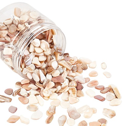Natural Shell Beads, Shell Shards, No Hole/Undrilled, Nuggets Chips