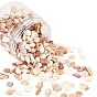 Natural Shell Beads, Shell Shards, No Hole/Undrilled, Nuggets Chips