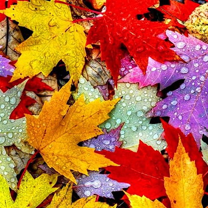 Autumn Maple Leaf Pattern 5D Diamond Painting Kits for Adult Beginners, DIY Full Round Drill Picture Art, Rhinestone Gem Paint Kits for Home Wall Decor