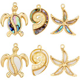 6шт 6 стили натуральные подвески из смешанных ракушек, с ионным покрытием (ip) 304 выводы из нержавеющей стали, реальный 18 k позолоченный, разнообразные