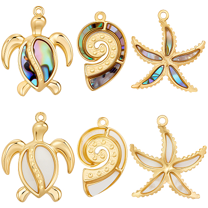 6шт 6 стили натуральные подвески из смешанных ракушек, с ионным покрытием (ip) 304 выводы из нержавеющей стали, реальный 18 k позолоченный, разнообразные