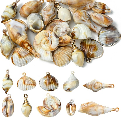 20 шт 10 стили акриловые подвески, Стиль имитация драгоценных камней, формы раковины