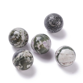 Natural Peace Jade Beads, No Hole/Undrilled, for Wire Wrapped Pendant Making, Round